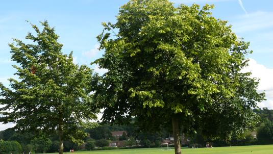 Photograph of Frimley Green Recreation Ground.