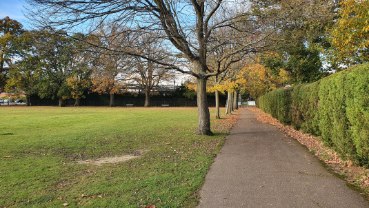 Trees, path and field at London Road Recreation Ground
