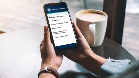 a person reading through the Business Rates portal.