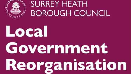 Surrey Heath Borough Council logo. White 'Local Government Reorganisation' wording on burgundy background