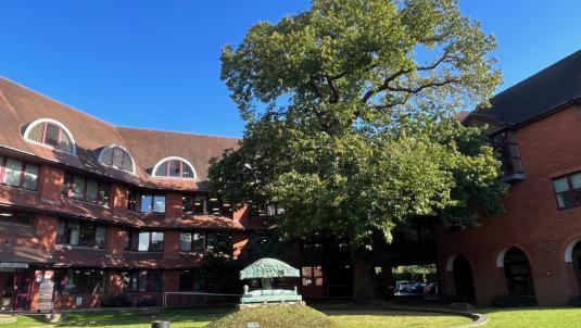 Exterior shot of Surrey Heath House with tree in foreground with blue sky