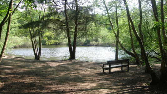Lightwater Country Park