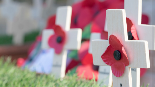 wooden crosses with remembrance poppies on the front positioned on the grass in front of a memorial