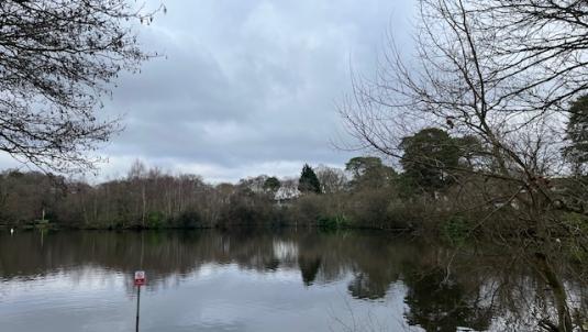 Tomlins Pond view with No Fishing sign in foreground