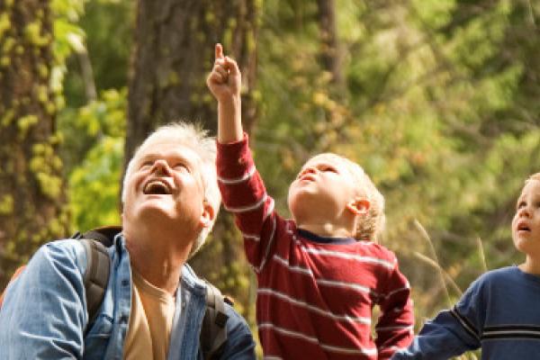 [A family in a woodland looking up at the sky]