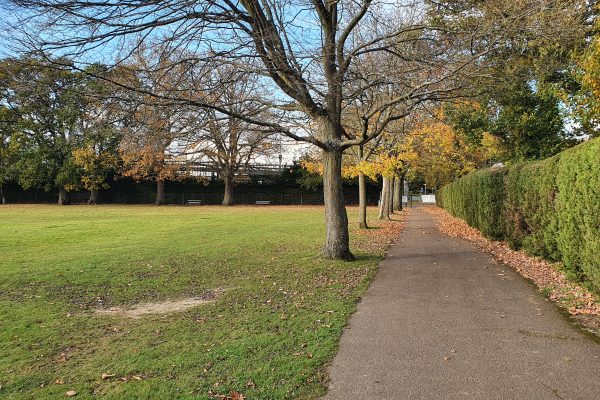 Trees, path and field at London Road Recreation Ground