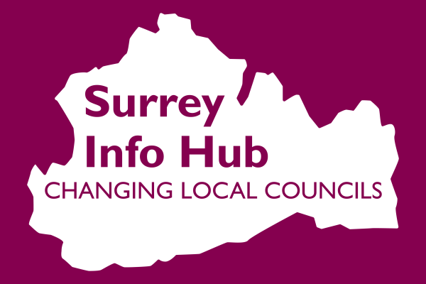 Surrey Info Hub - Changing local councils