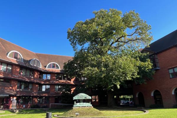 Exterior shot of Surrey Heath House with tree in foreground with blue sky