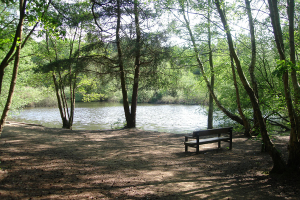 Lightwater Country Park