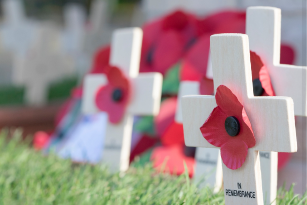 wooden crosses with remembrance poppies on the front positioned on the grass in front of a memorial