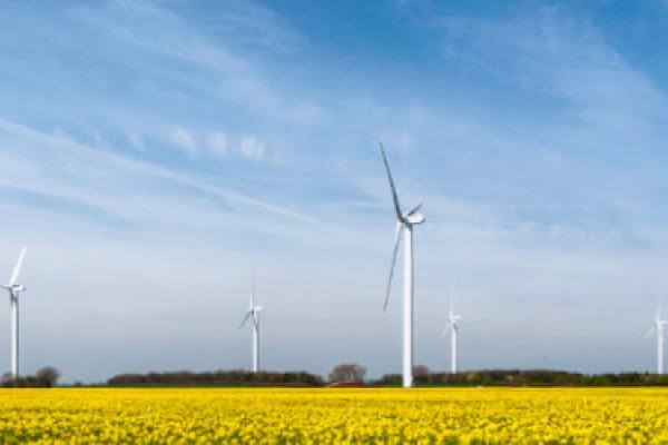 Wind turbines in a field