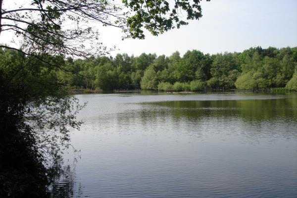 View of pond at Lightwater Country Park