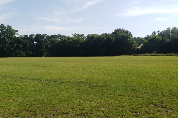 View of field at Frimley Lodge Park