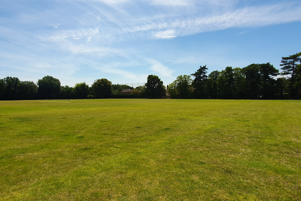 Trees and field at Chobham Recreation Ground