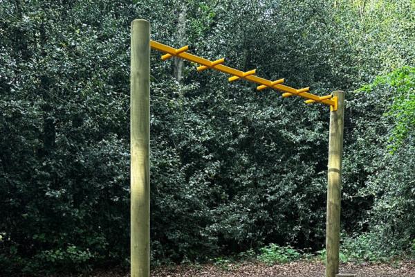 Trim trail horizontal monkey bars
