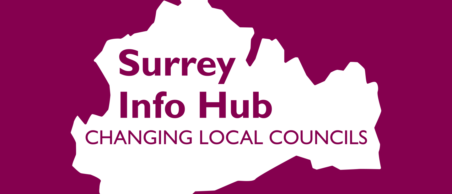 Surrey Info Hub - Changing local councils
