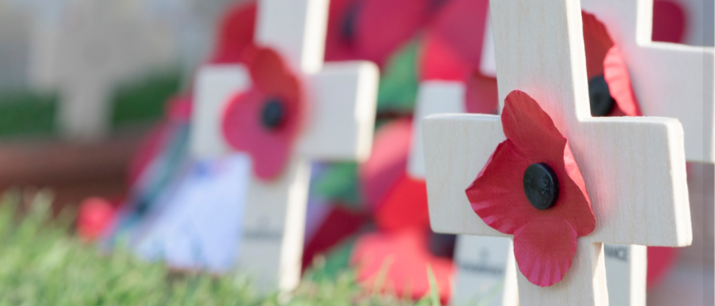 wooden crosses with remembrance poppies on the front positioned on the grass in front of a memorial