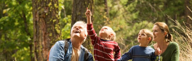 [A family in a woodland looking up at the sky]
