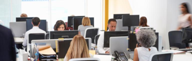 [A group of people sitting at computers in an office]