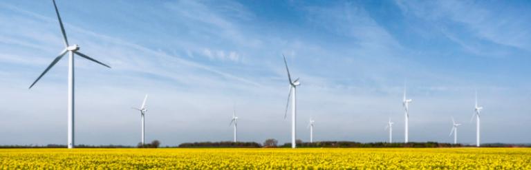 Wind turbines in a field