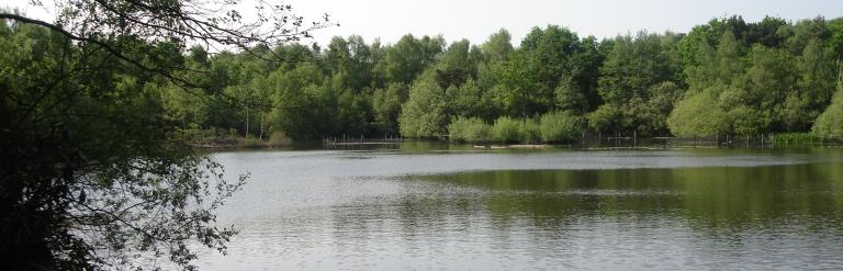 View of pond at Lightwater Country Park