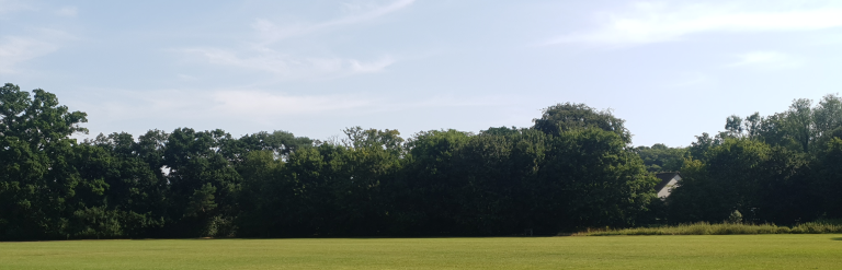 View of field at Frimley Lodge Park