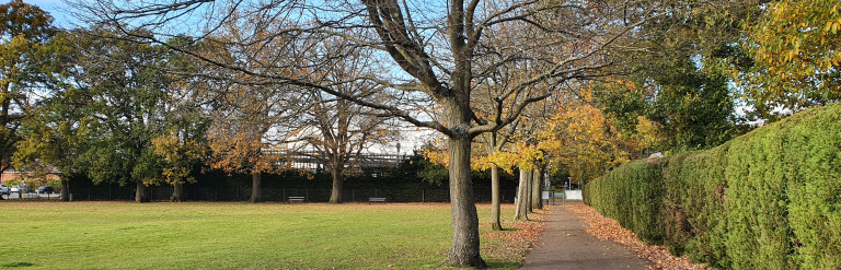 Trees, path and field at London Road Recreation Ground