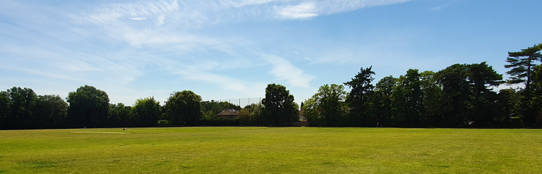 Trees and field at Chobham Recreation Ground