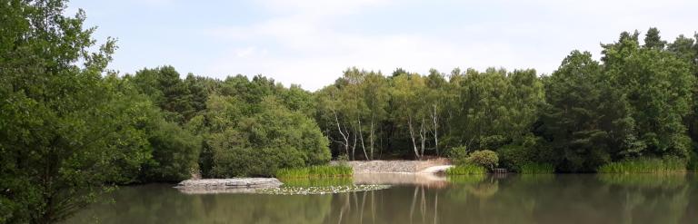 Hammonds pond at Lightwater Country Park