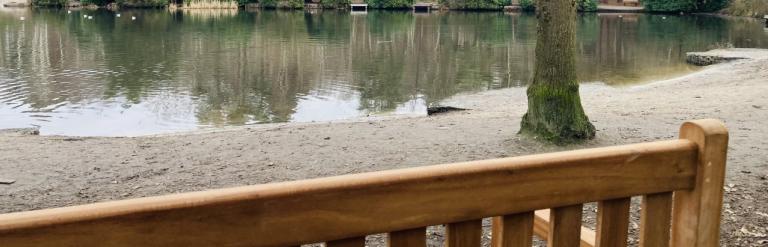 Bench at Lightwater Country Park and view of pond