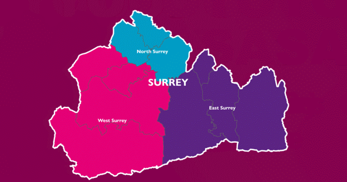 Have Your Say on the Future of Local Government in Surrey | Surrey ...