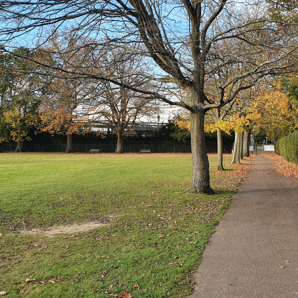 Trees, path and field at London Road Recreation Ground
