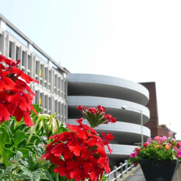 Main square car park with red flowers in foreground