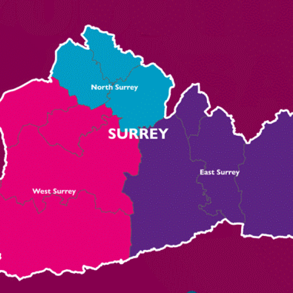 map of Surrey showing proposed 3 unitary areas