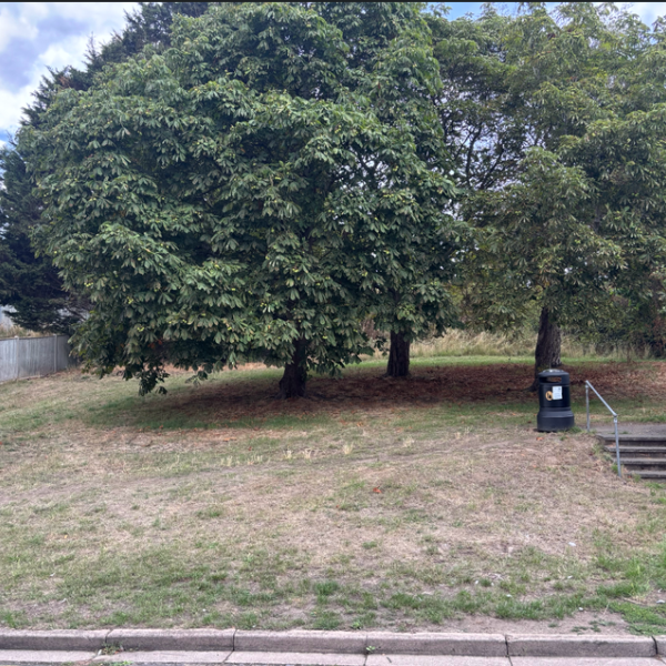 Greenbank Way, Frimley