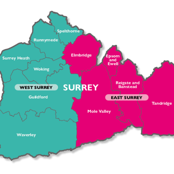 2 unitary map of Surrey - West Surrey and East Surrey.