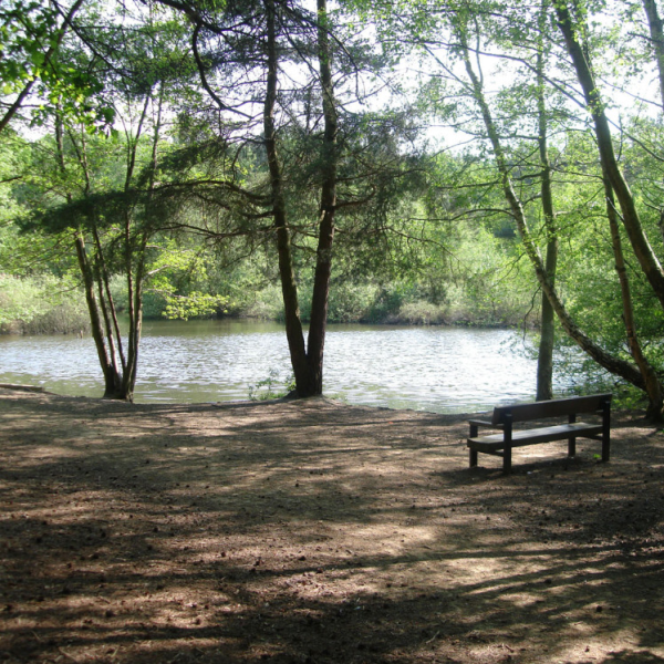 Lightwater Country Park