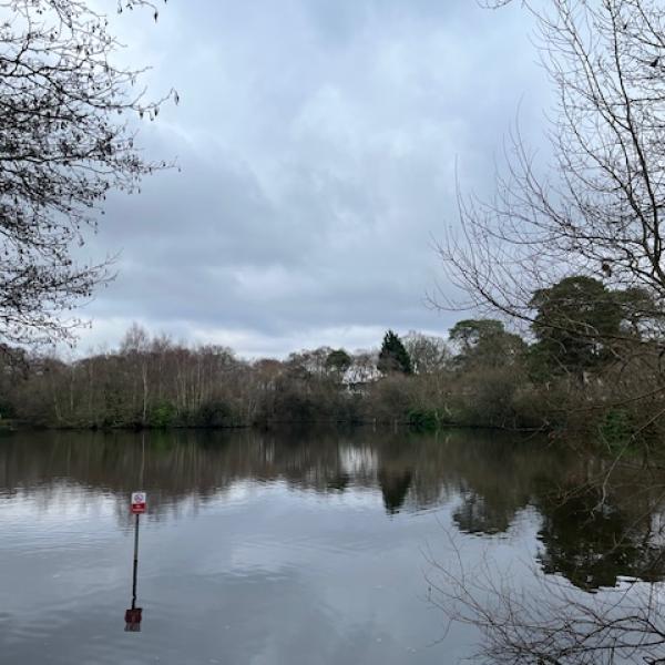 Tomlins Pond view with No Fishing sign in foreground