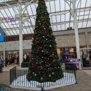 Christmas Tree in The Square