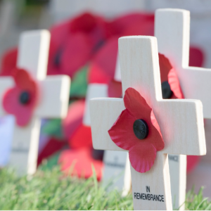 wooden crosses with remembrance poppies on the front positioned on the grass in front of a memorial 